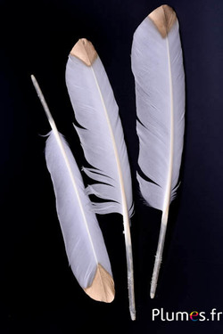 Schwan - 30-35 cm - weiss